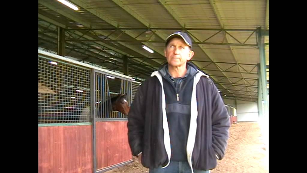 Interview with John Ledger on the Not A Single Doubt  x Lady Criquette colt