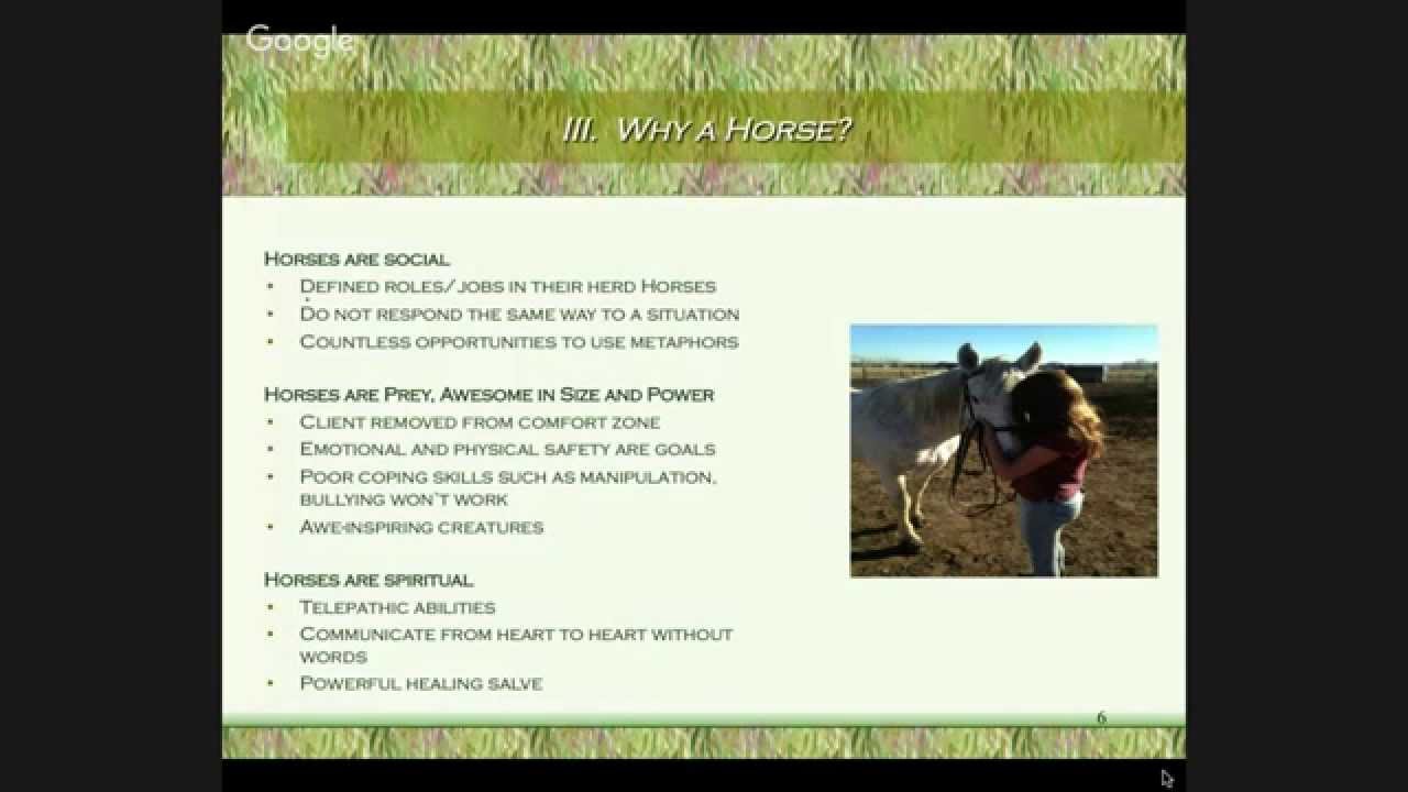 Equine Therapy Webinar