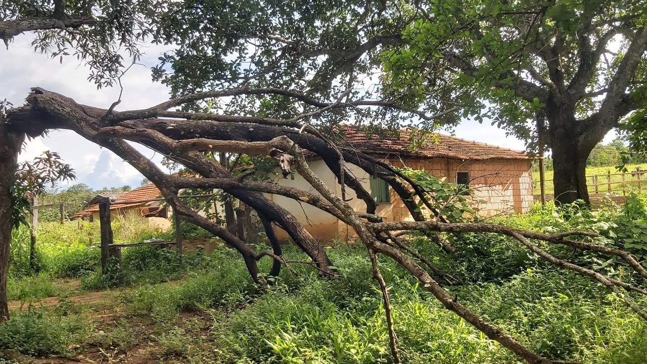 ENCONTREI UMA CASA ABANDONADA 😳#CASAABANDONADA #tuor #lar