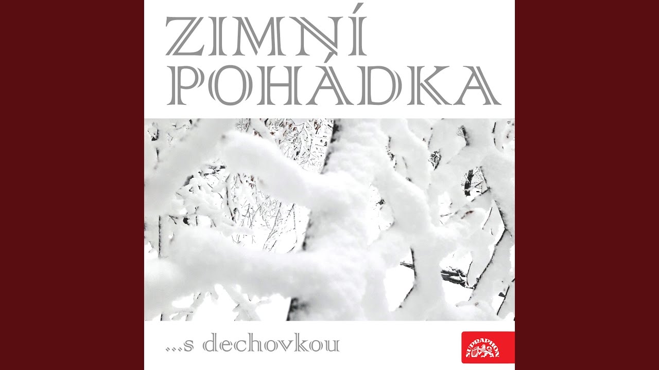 Zimní polka