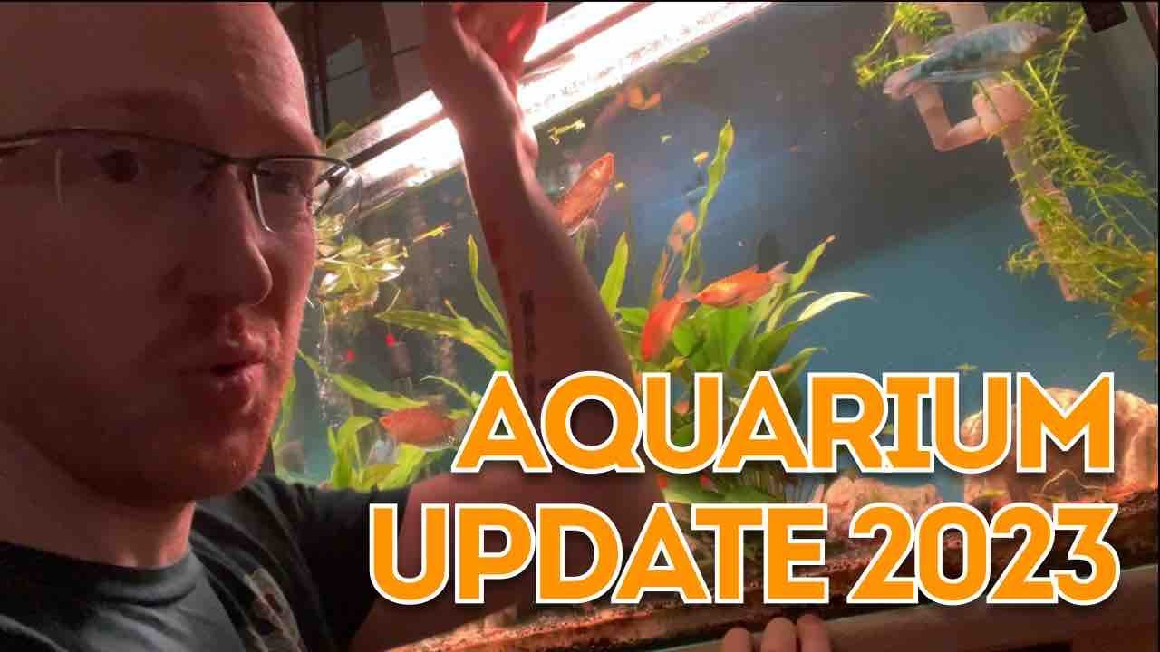 Aquarium Update 2023