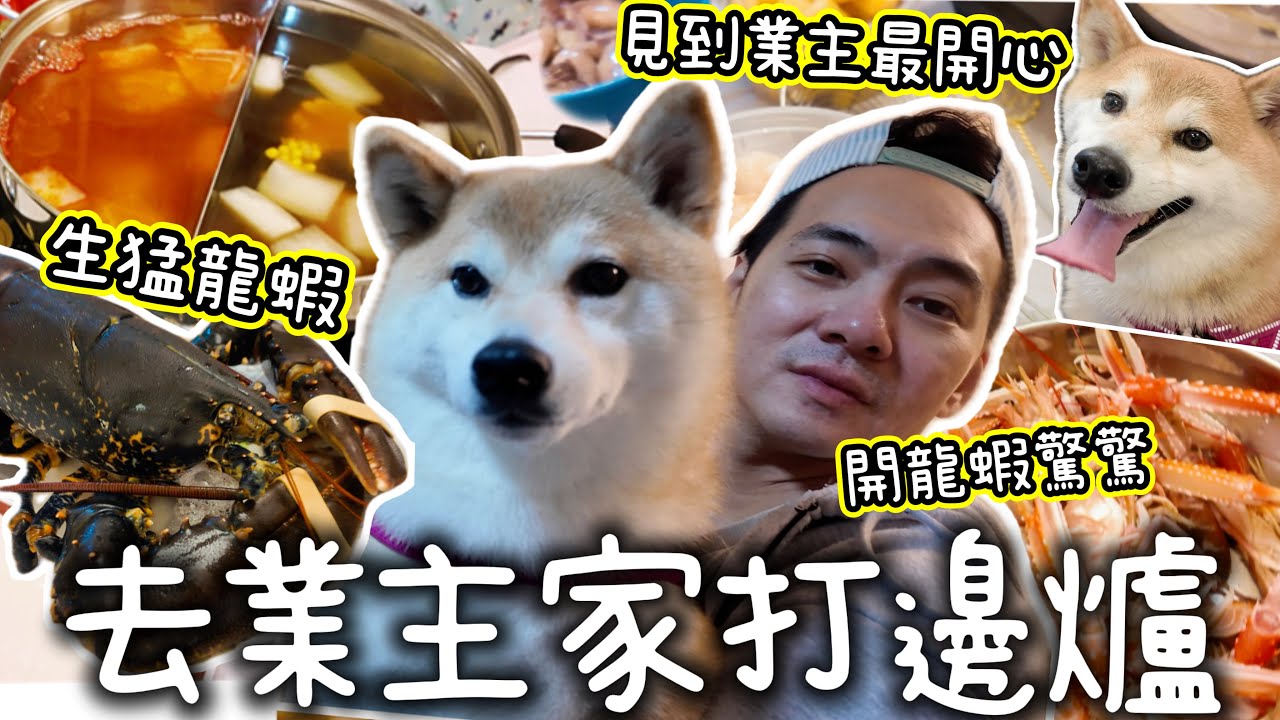 去業主家打邊爐♥️生猛龍蝦海鮮餐🦞柴犬春卷見到好開心｜業主即場開龍蝦超勇猛 @shibaharumaki