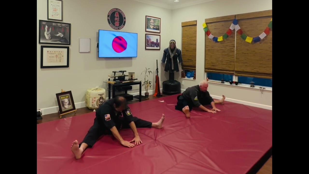 An Aikido Training Session - Eight Segments.