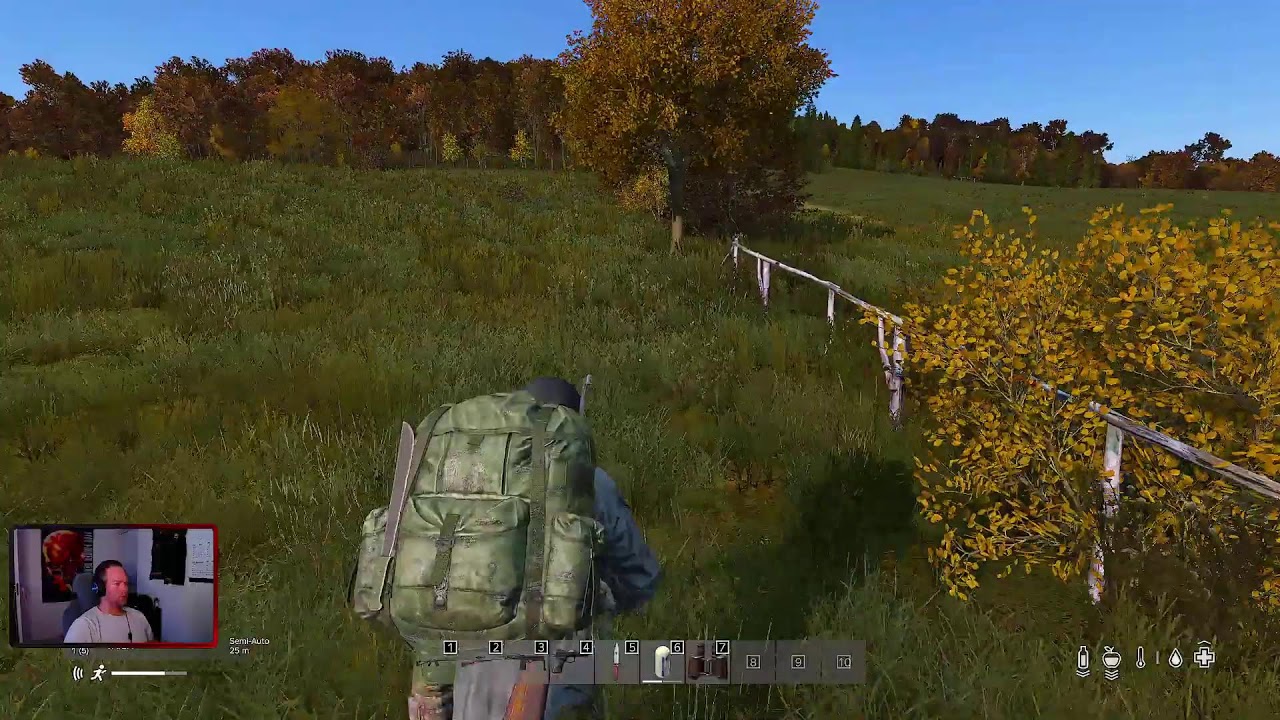 Dayz Test stream