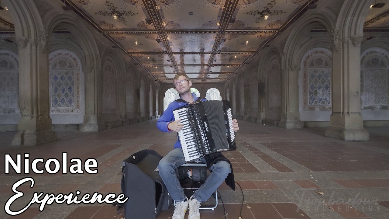 Nicolae | Experience