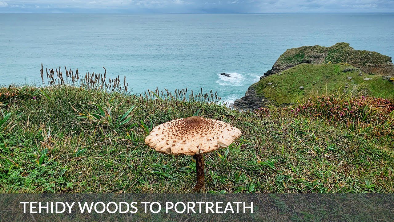 An Autumn Walk From Tehidy Woods To Portreath, Cornwall, UK