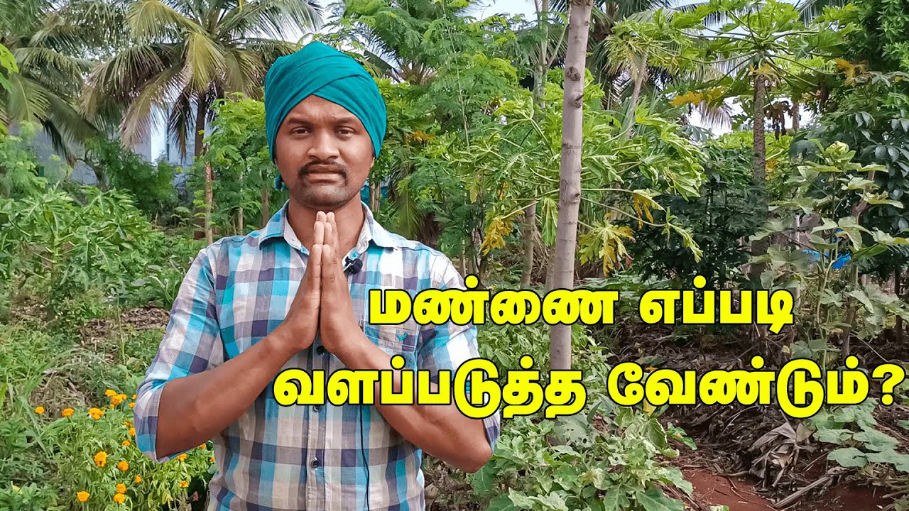 மண் வளமாக உள்ளதா என்று எப்படி தெரிந்துக்கொள்வது ? | மண்ணை எவ்வாறு வளப்படுத்த வேண்டும் | செஞ்சோலை