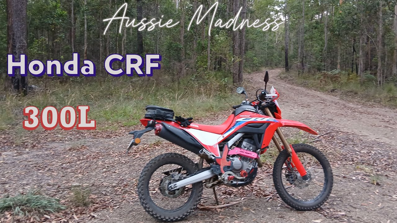 Honda Quick ride and a wet butt #adventurebikes #dirtbikeadventures #crf300l