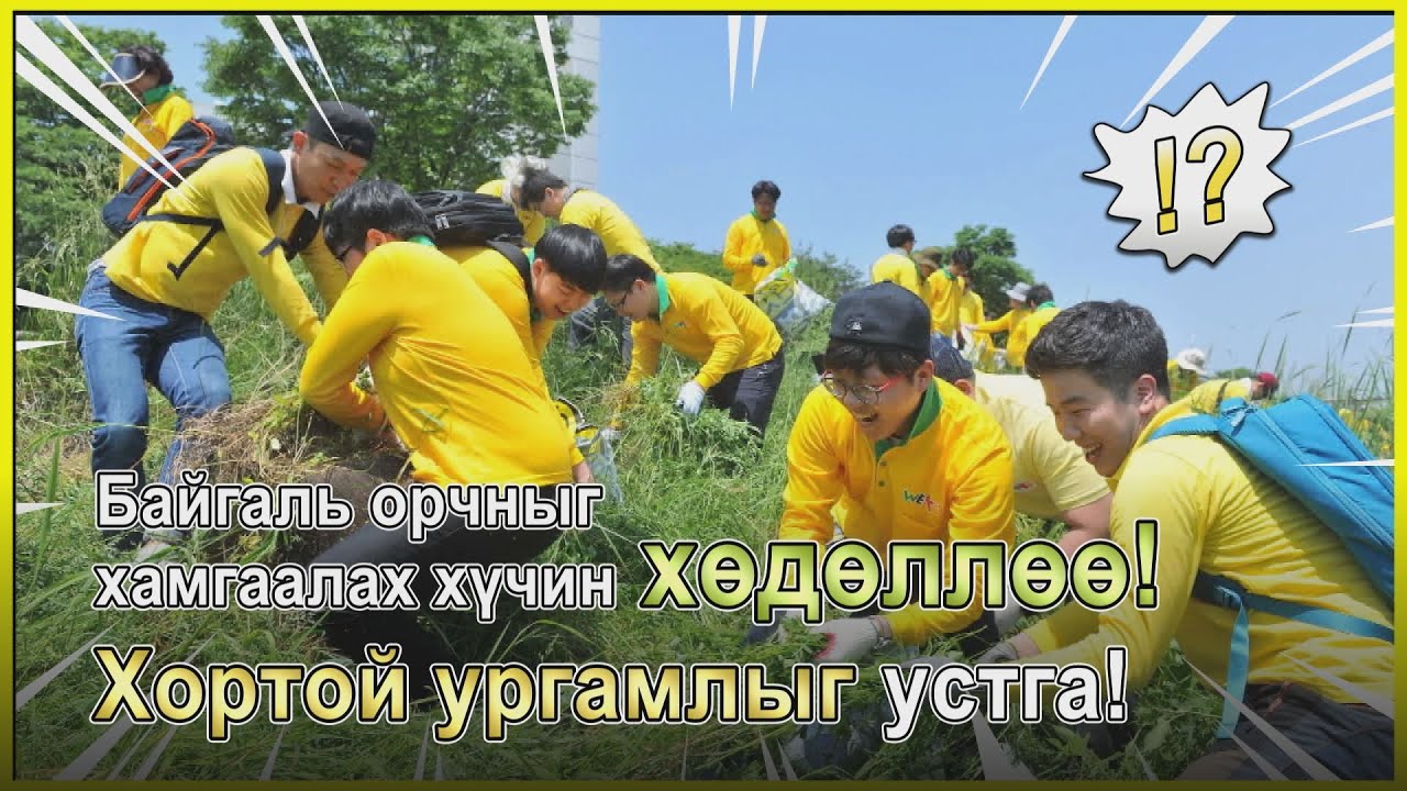 [WeLoveU] Зан Гил Жа тэргүүний Экосистемийг хамгаалах хөдөлгөөн: хорт ургамал устгав