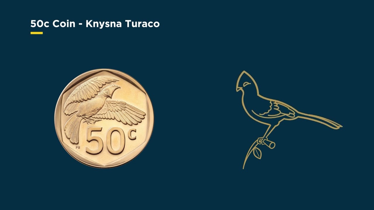 Animation: South Africa&rsquo;s deep ecology coin series
