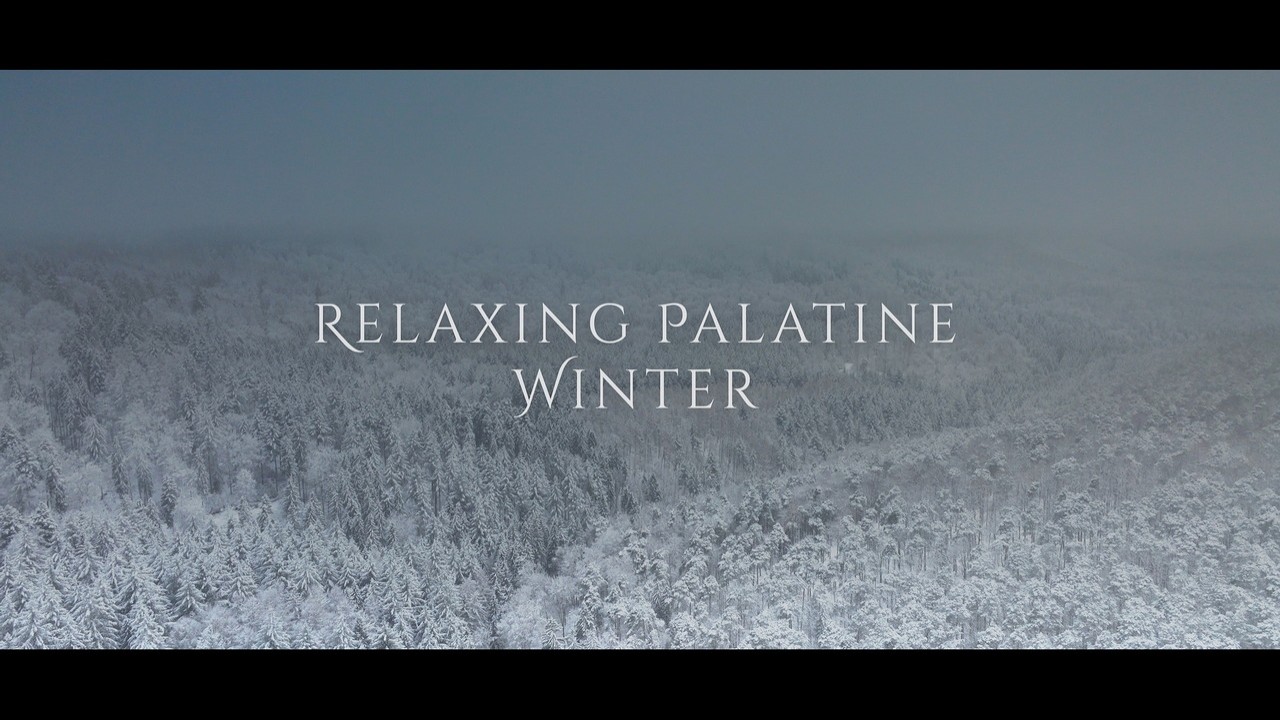 Relaxing Palatine - Winter (Cine 4k)