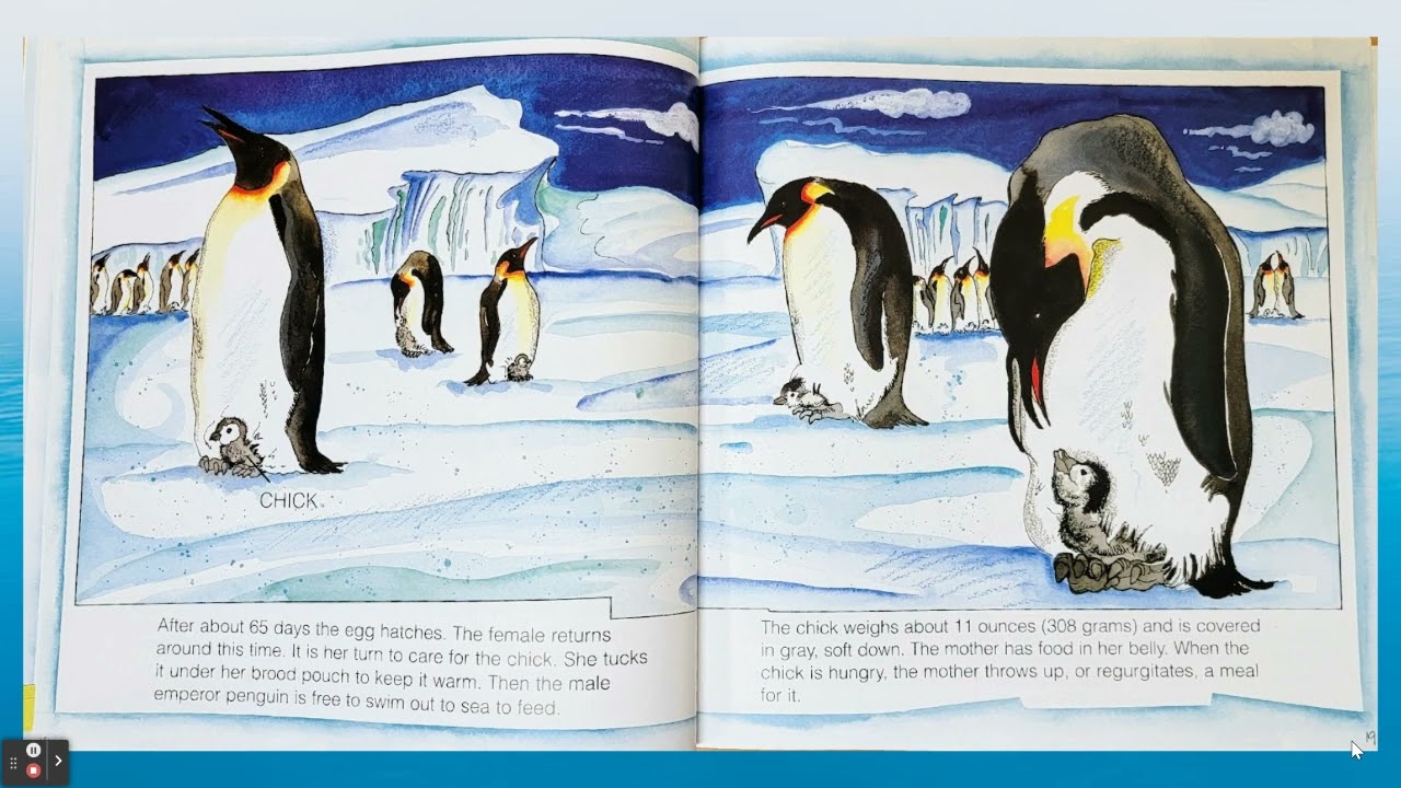 Penguins!
