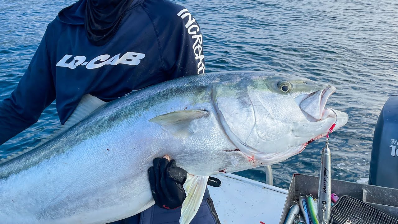 LIFETIME Topwater kingfish NZ