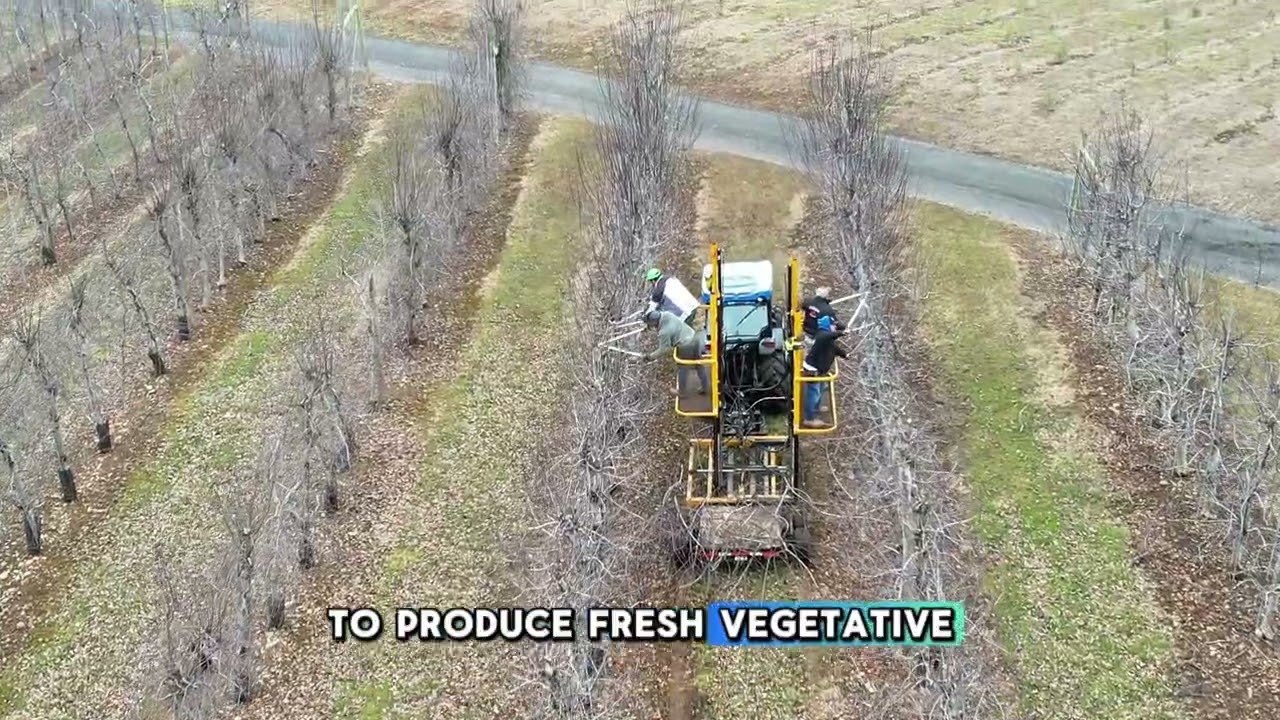 Winter might look quiet… but the real work is happening.