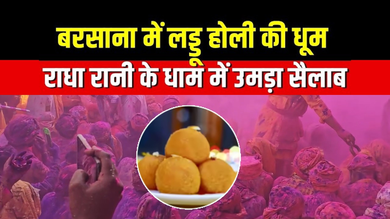 देखिए बरसाना की लड्डूमार होली 🔥 Radha Rani Mandir में बरसे लड्डू | Barsana Holi 2026#LaddumarHoli