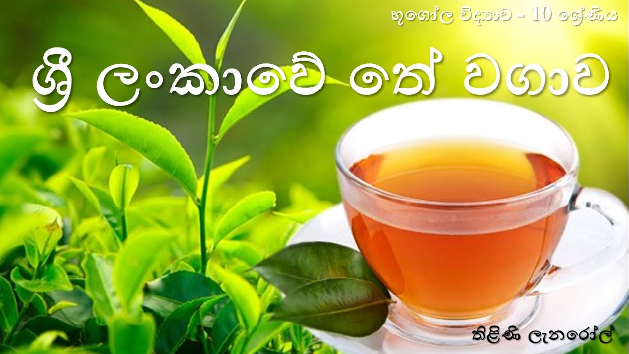 භූගෝල විද්‍යාව 10 ශ්‍රේණිය - 4 පාඩම : ශ්‍රී ලංකාවේ තේ වගාව