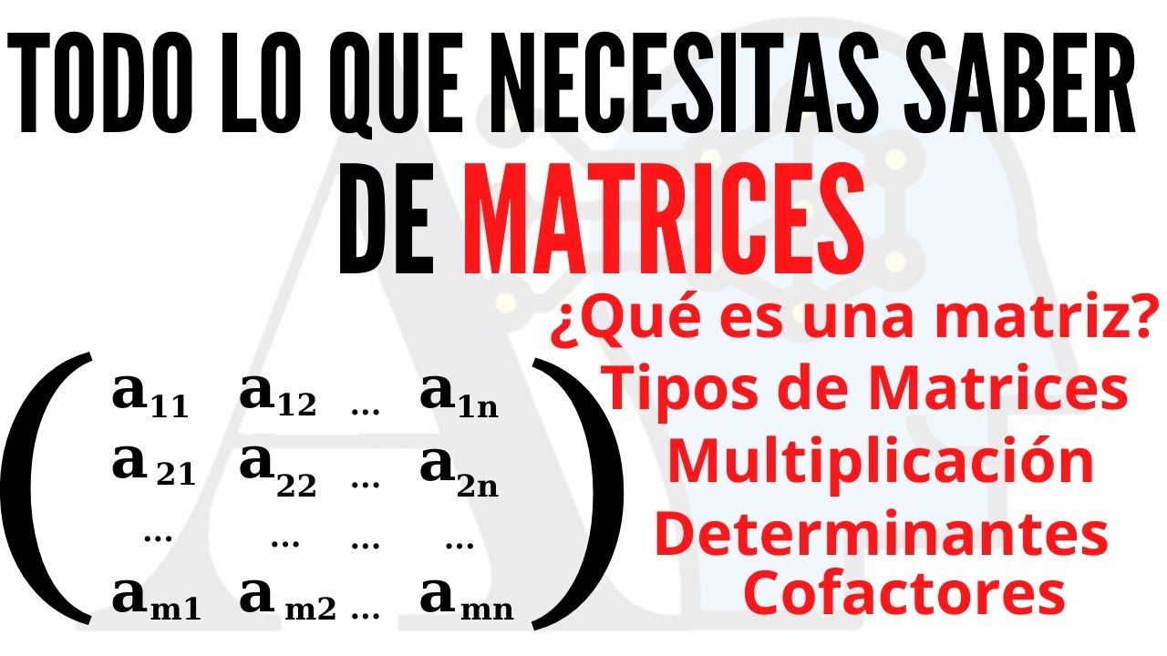 Todo lo que necesitas saber de Matrices