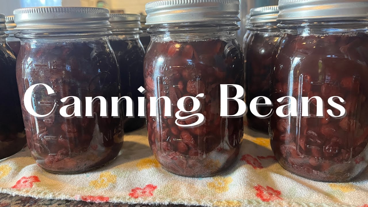 Starting My Winter Canning Projects, Canning Beans - Brelsford Family Homestead