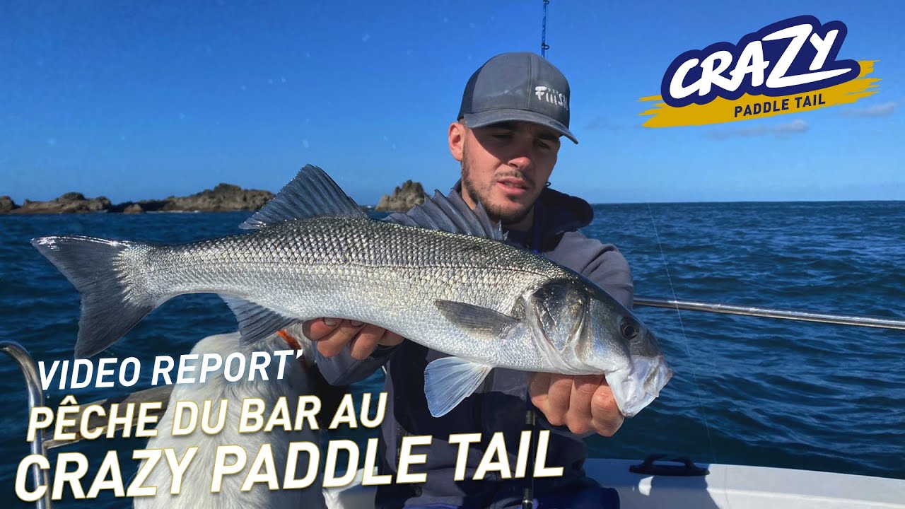 P&ecirc;che du bar au crazy paddle tail - Vid&eacute;o Report' - Fiiish