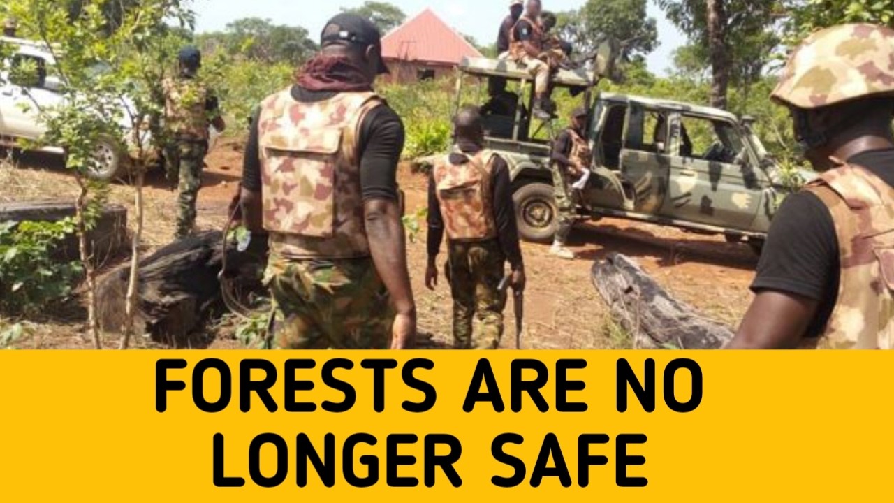 Gunshots in Ayamba: What Really Happened When Troops Stormed This Benue Village?