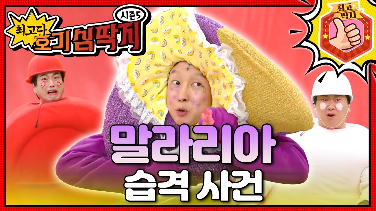 말라리아에 걸린 엄마를 구하기 위해, 호빵이가 출동한다!ㅣ최고다! 호기심 딱지ㅣ말라리아 습격 사건