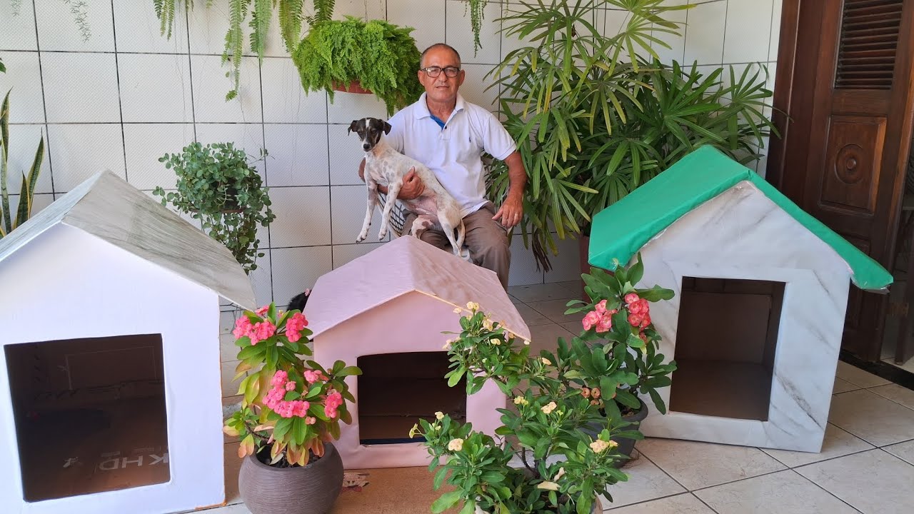 Cãodominio para cachorro de papelão fácil de fazer