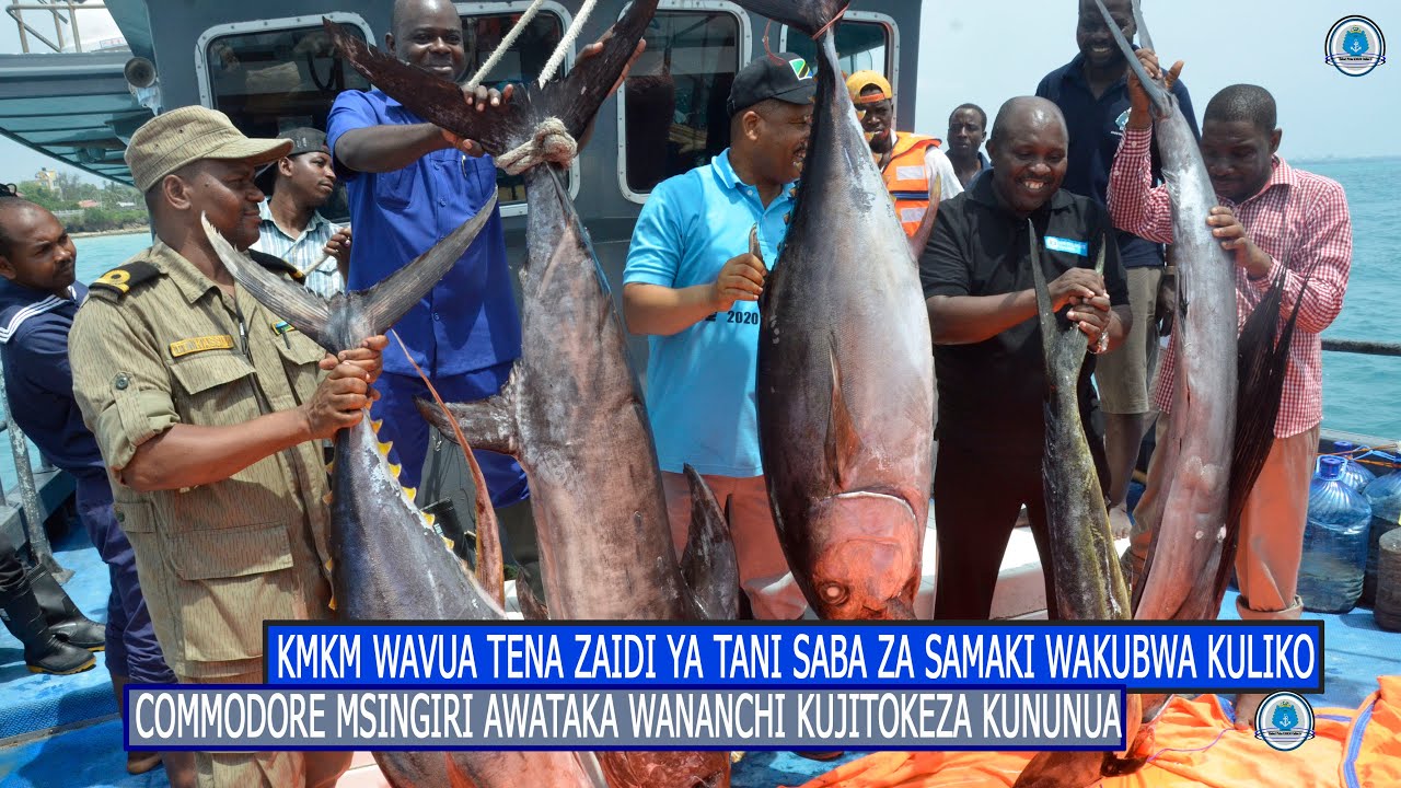 MELI YA UVUVI KMKM YARUDI NA ZAID YA TANI SABA ZA SAMAKI AINA TOFAUTI WANANCHI WAKARIBISHWA KUNUNUA