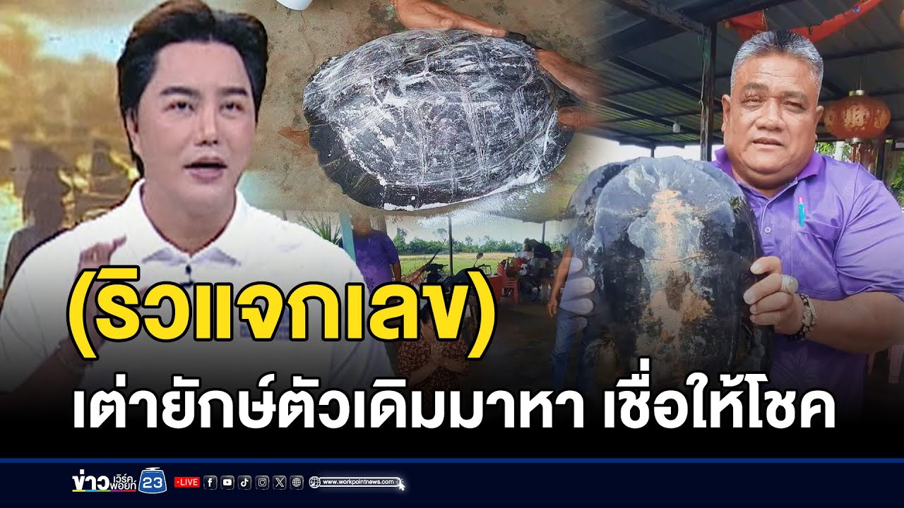 เชื่อให้โชค! เต่ายักษ์ตัวเดิมบุกบ้าน l ตลาดข่าว - ข่าวเช้าเวิร์คพอยท์ l 30 มิ.ย. 68