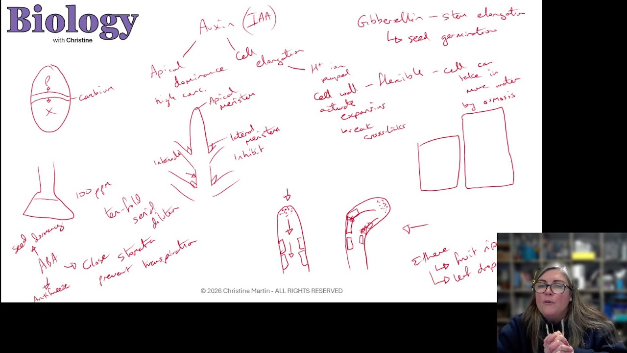 OCR A A-level Biology revision livestream