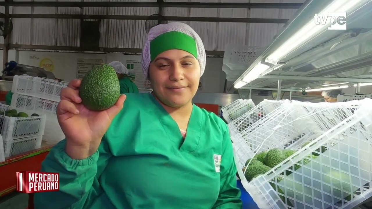 Reportaje de Tv Perú: Balance de exportaciones 2025