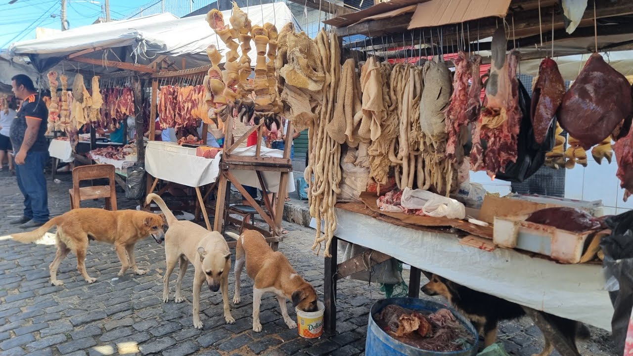 FEIRA LIVRE COM CUSTO DE VIDA BAIXO E MUITA FARTURA EM CATENDE PERNAMBUCO ISSO &Eacute; NORDESTE BRASIL