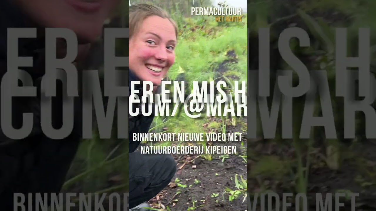 Natuur laat van zich horen tijdens interview met natuurboerderij @KipEigen #shorts #permacultuur