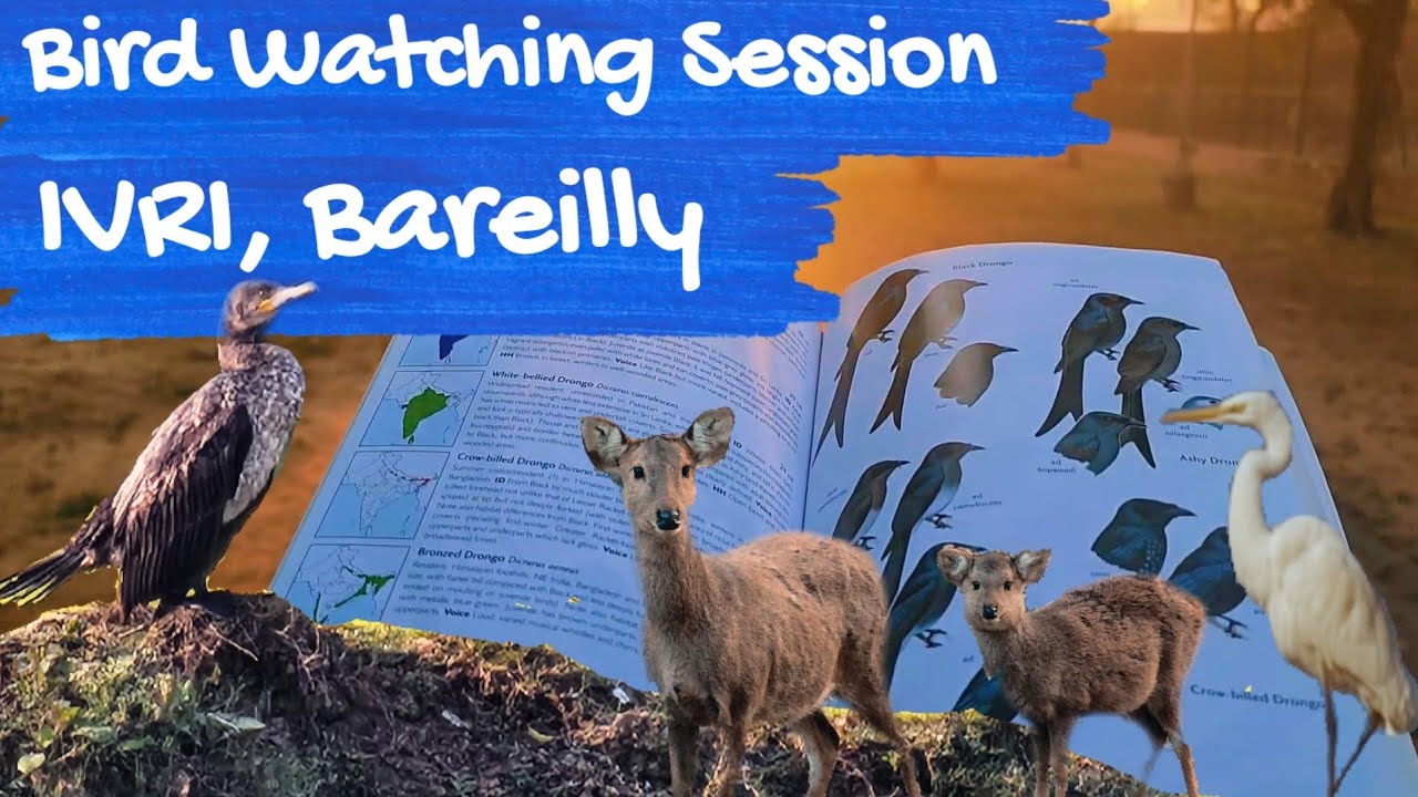 Early Morning Bird Watching Session | IVRI Bareilly