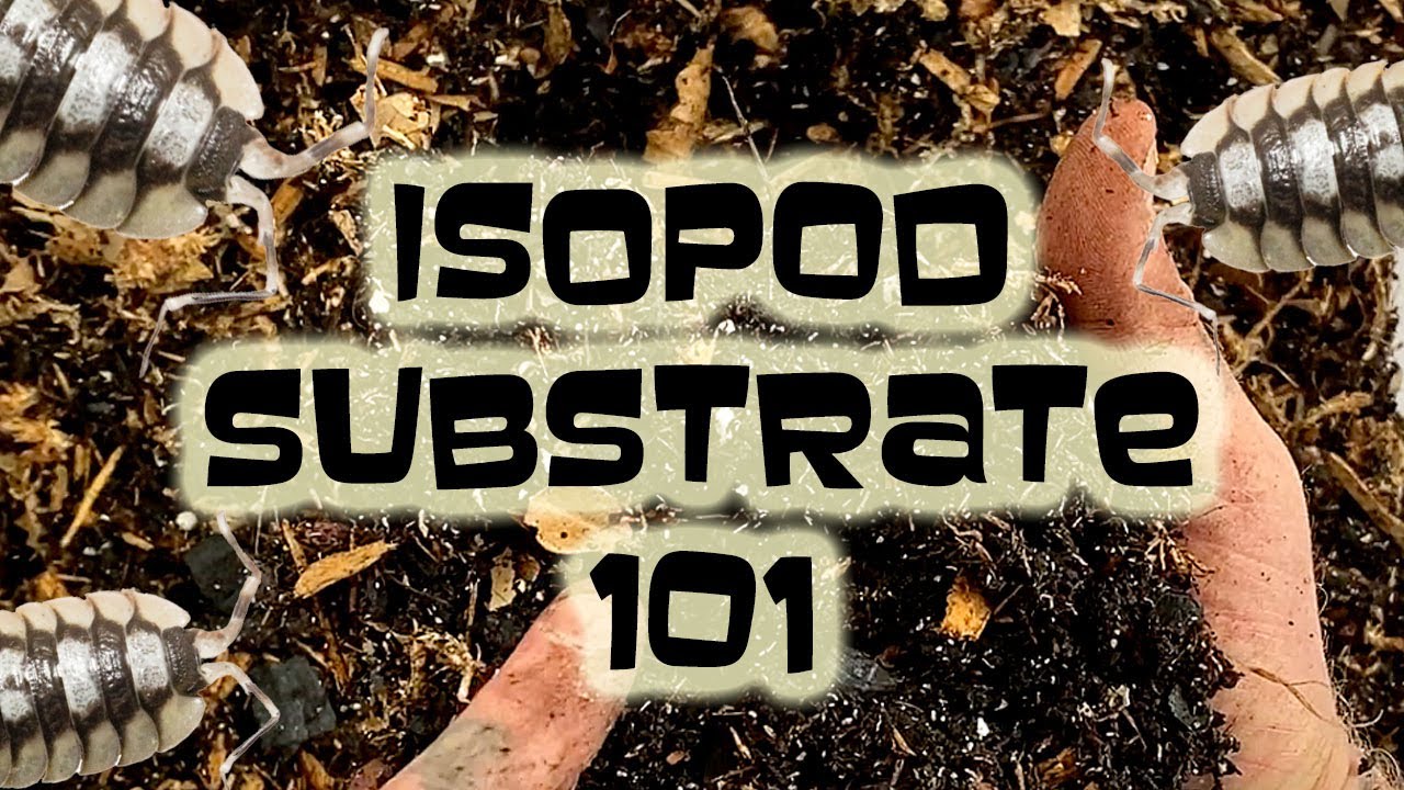 ISOPOD substrate 101:  Understanding the science behind the components of a healthy substrate