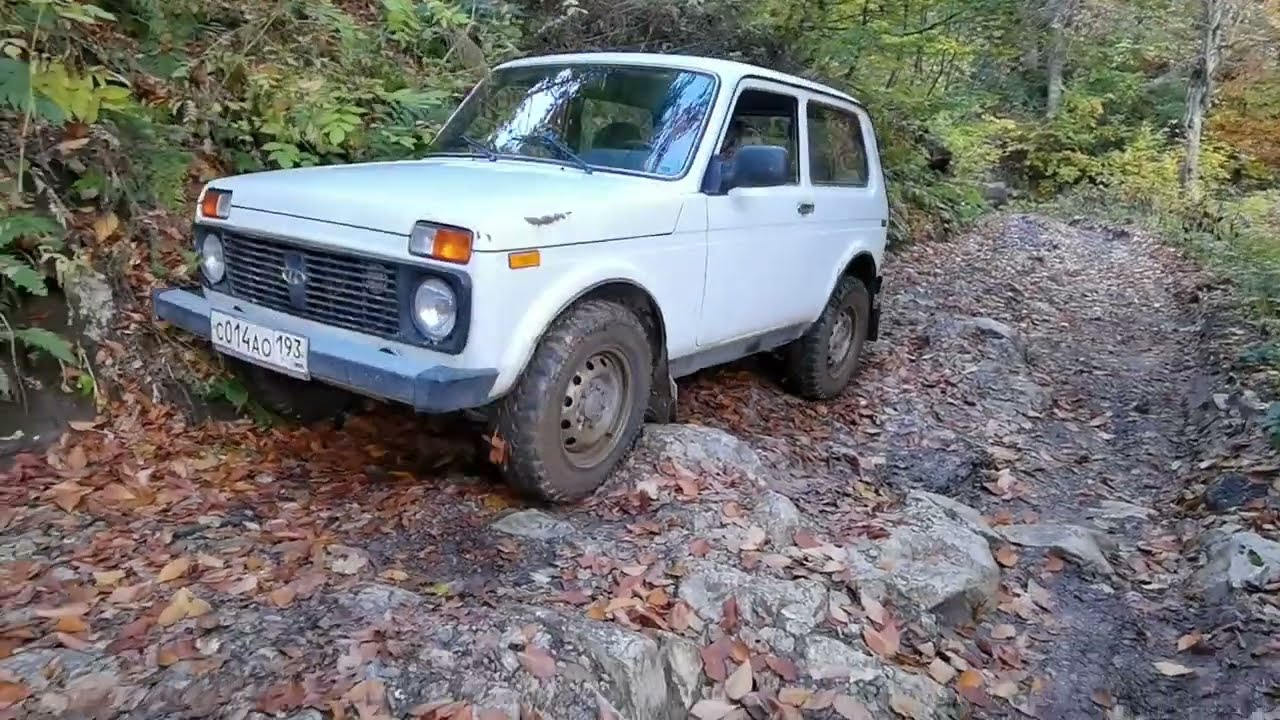 Дорога на гору Мамдзышха