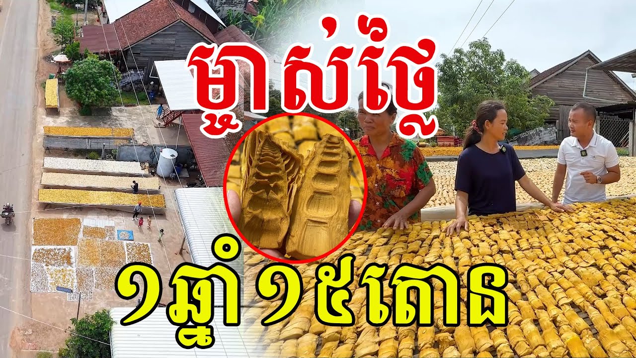 ម្ចាស់ថ្លៃហើយ ១ឆ្នាំ១៥តោន អ្នកភូមិនេះពូកែមែន