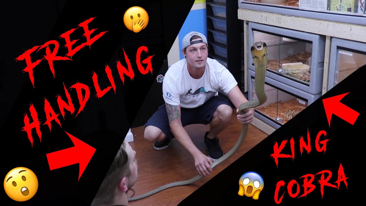 Ядовитый голыми руками | Уилл Нейс