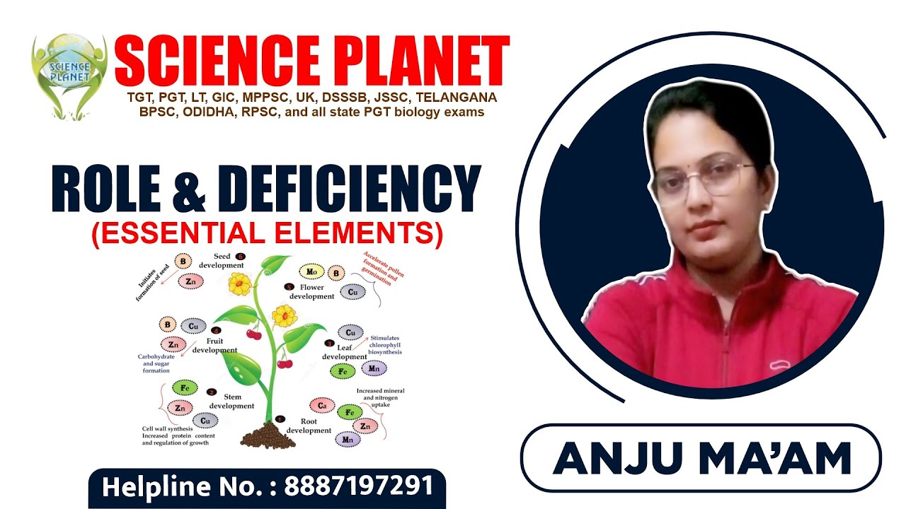 Role & Deficiency (Essential Elements) Explain by Anju Mam of Science Planet!