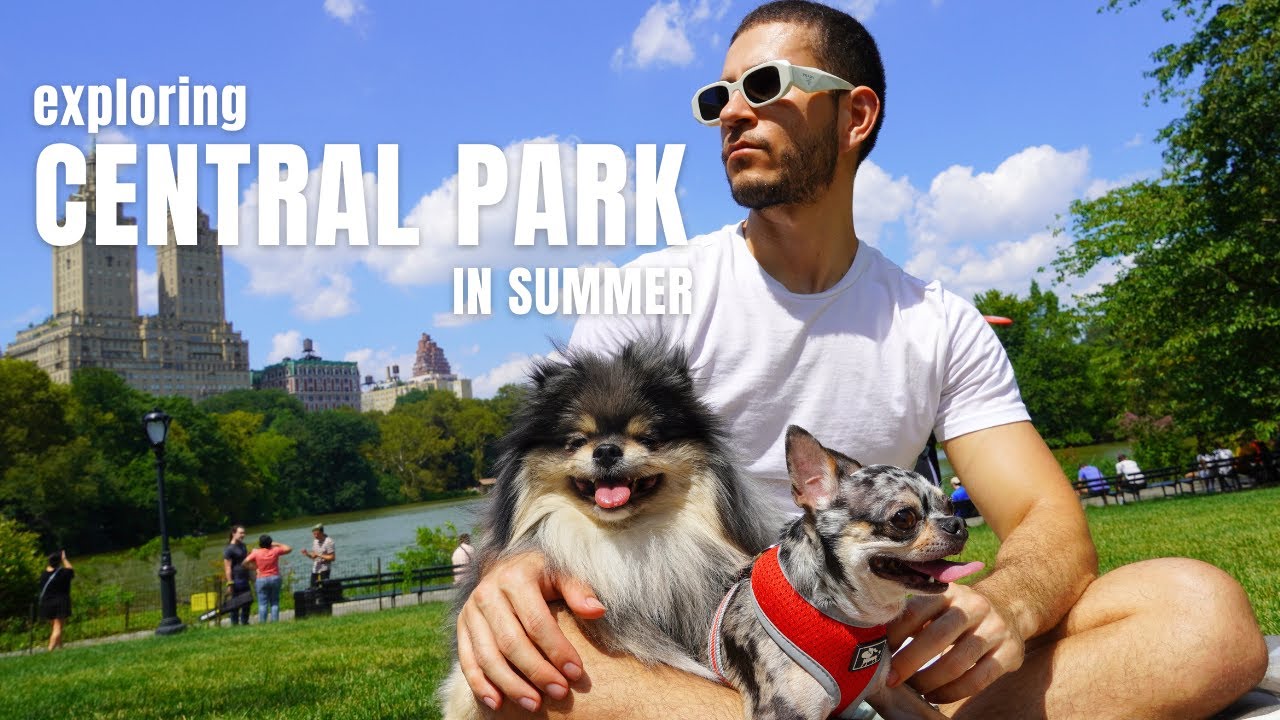 Exploring Central Park in Summer With Our Dogs | Life in NYC
