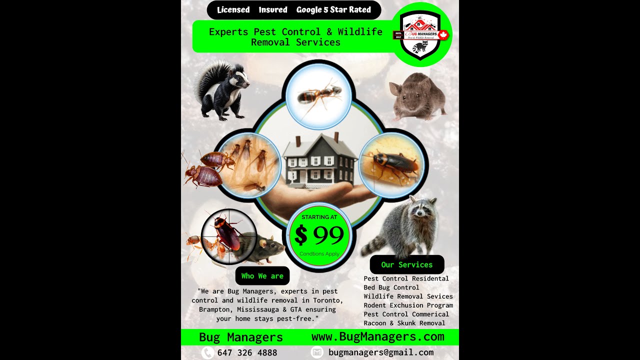Ultimate Guide to Bed Bug Prevention and Preparation Before Treatment in Toronto, Brampton, and GTA
