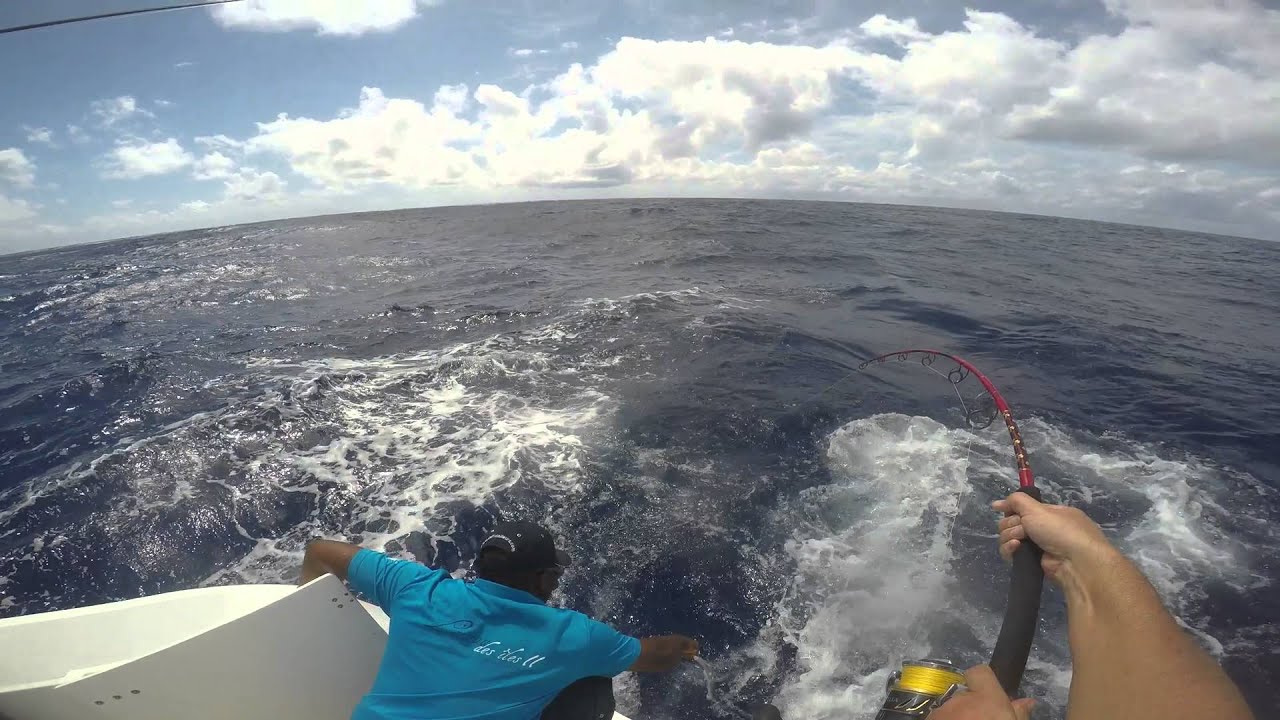 Rodrigues Deep Sea Fishing - Nov 2015