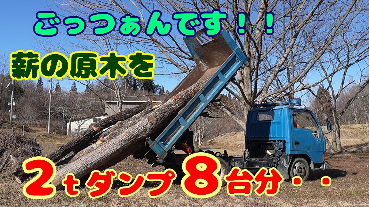 今年も大量に薪の原木を頂きました・・・