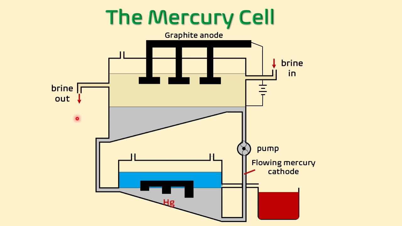 The Mercury Cell