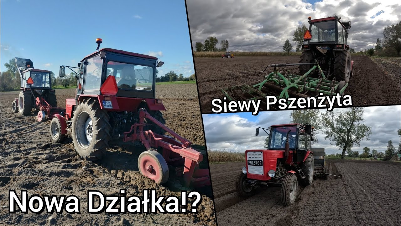 NOWA DZIAŁKA NA GOSPODARSTWIE!!! - Siewy Pszenżyta Od A Do Z || Ursus C-360 & Władimirec T25 W Akcji