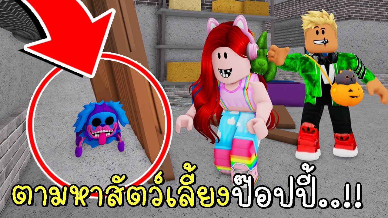 ตามหาสัตว์เลี้ยงป๊อปปี้ที่หายไป 😺🐾 Find The Poppy Pets | CKKID