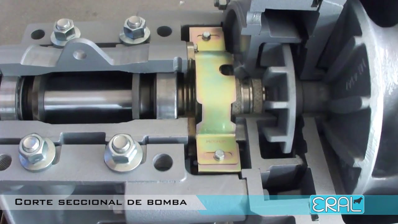 Bomba centrifuga para pulpa funcionamiento