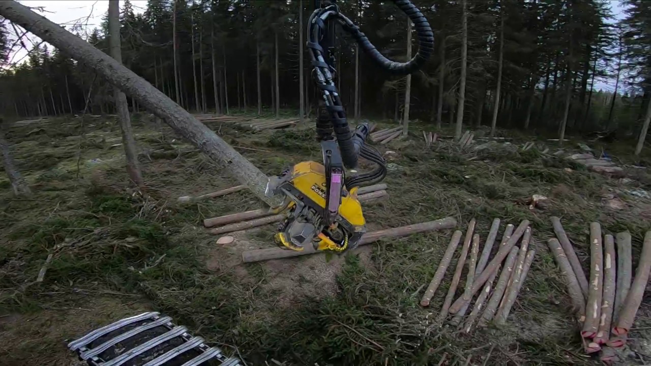 ESEDU:n metsäkoulun oppilaille pölkkyjä katkokomassa. Ponsse scorpion king h7