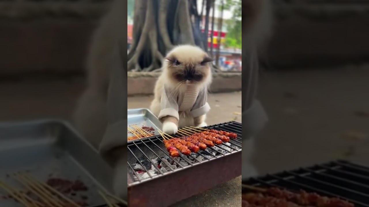 Street Food: A Ragdoll Cat selling Chuan'r (Chinese BBQ Skewers - Lamb) at River Deep Root Bend