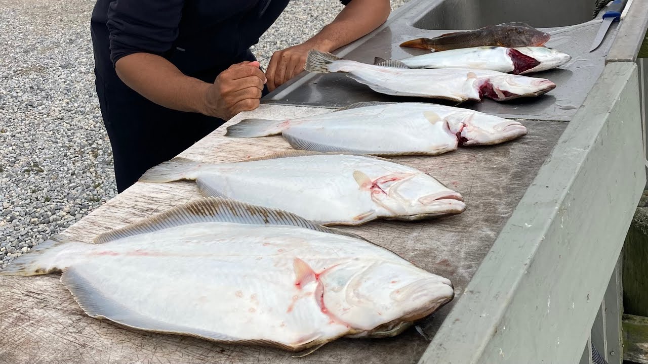 Keeper Fluke Are Still In - Catch + Fillet Fluke, Bluefish, & Sea Robin