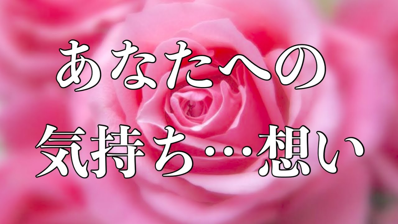 ❤️あの人は今あなたの事をどんな風に思い考えてる？🦋恋愛タロットリーディング【霊感】